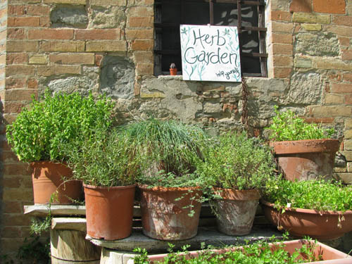Herb Garden Layout Tuscan